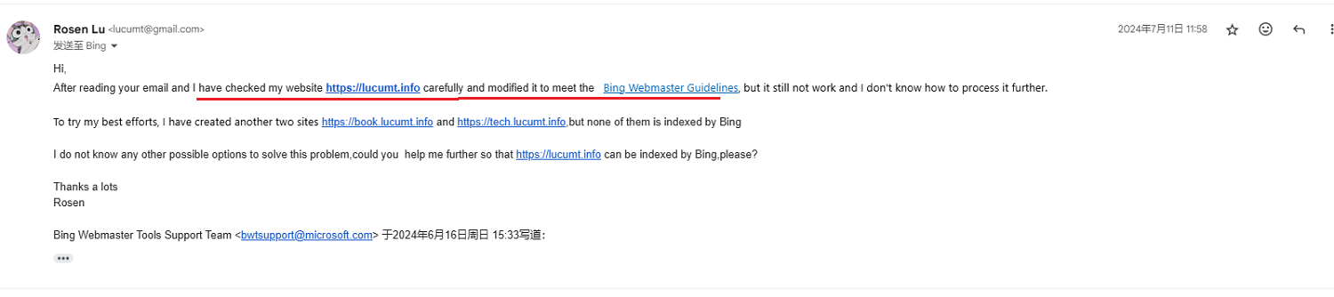 再次给Bing发送技术支持邮件
